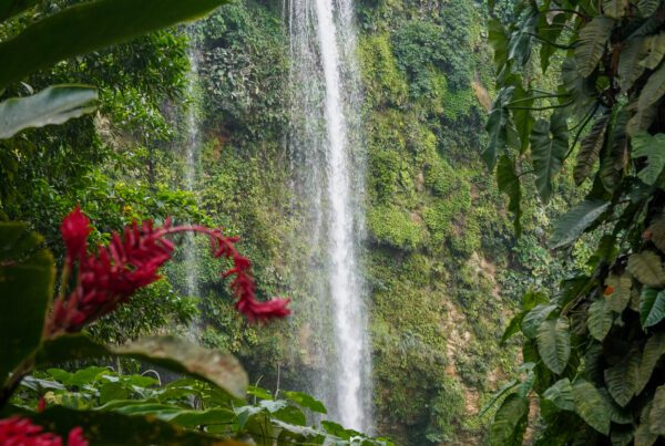 Cascade de Mizol-Ha