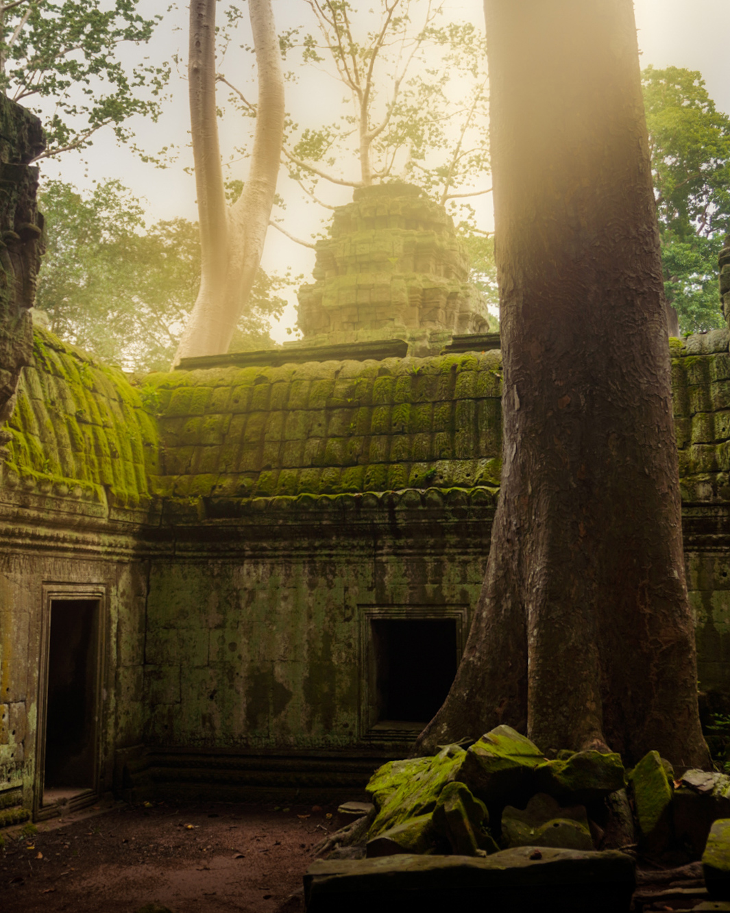 Ta Prohm temple