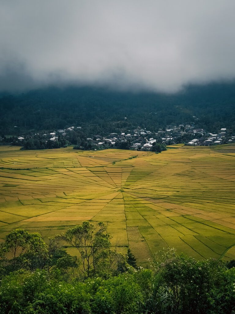 Ruteng rizières toile araignée