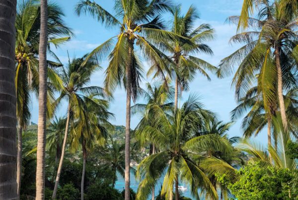 Koh Tao