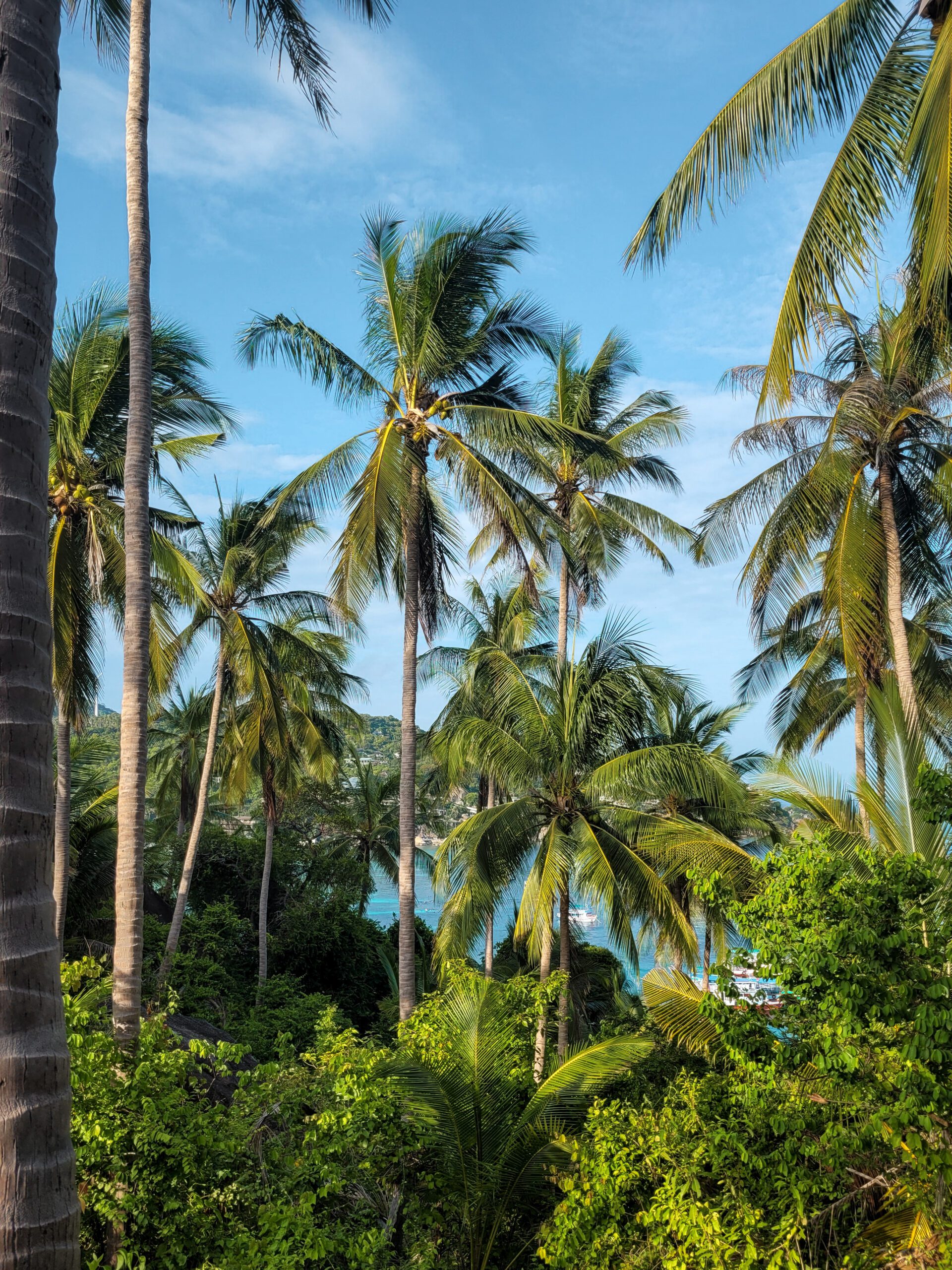 Koh Tao