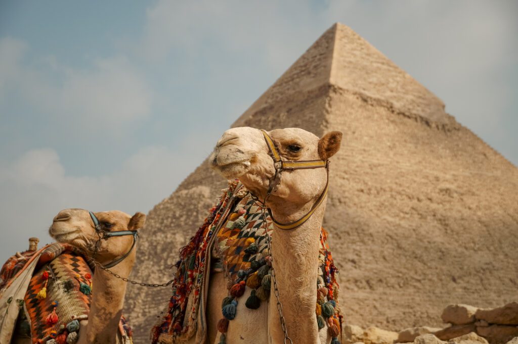 Pyramides de Gizeh Egypte