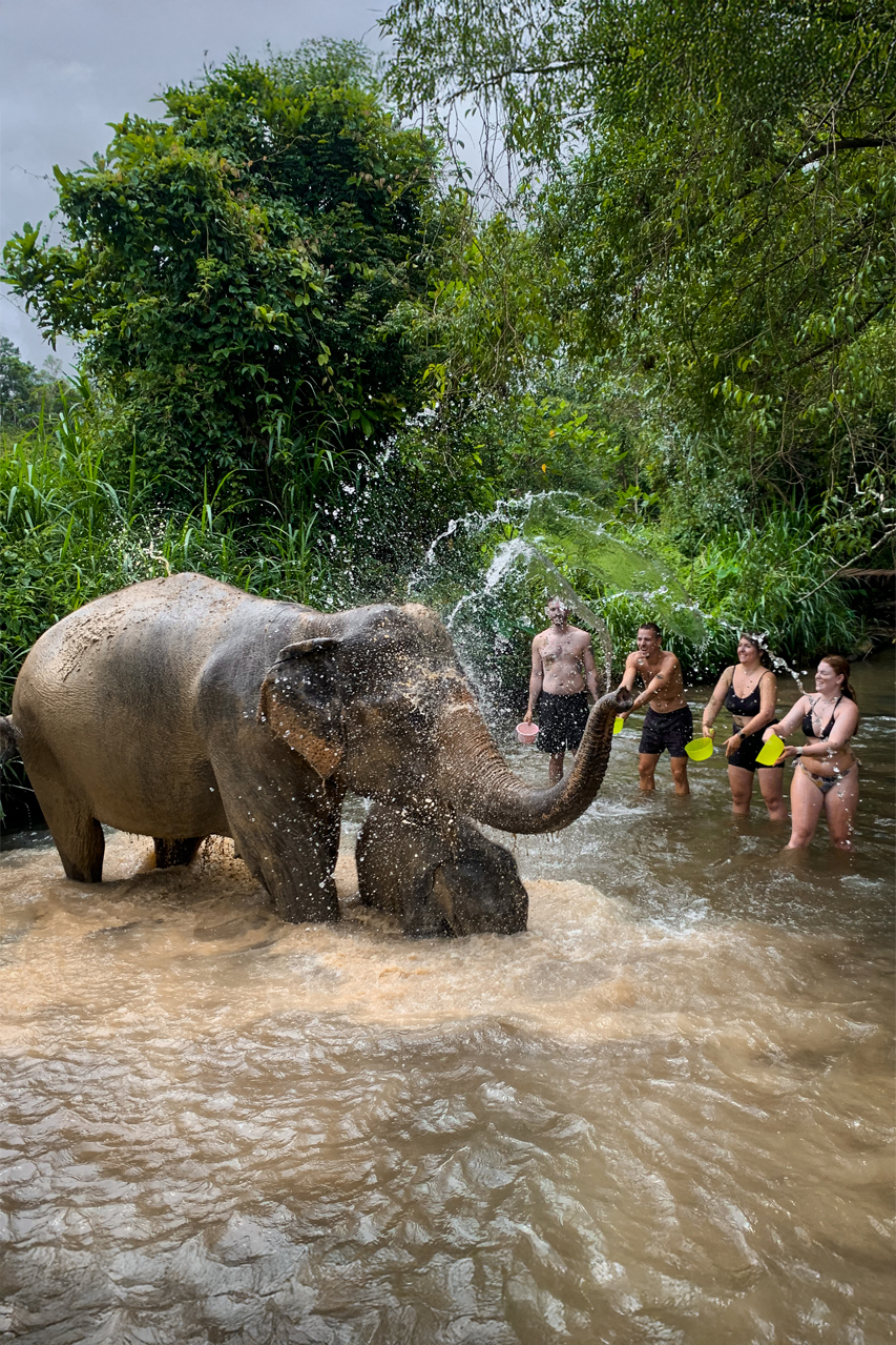 éléphants thailande