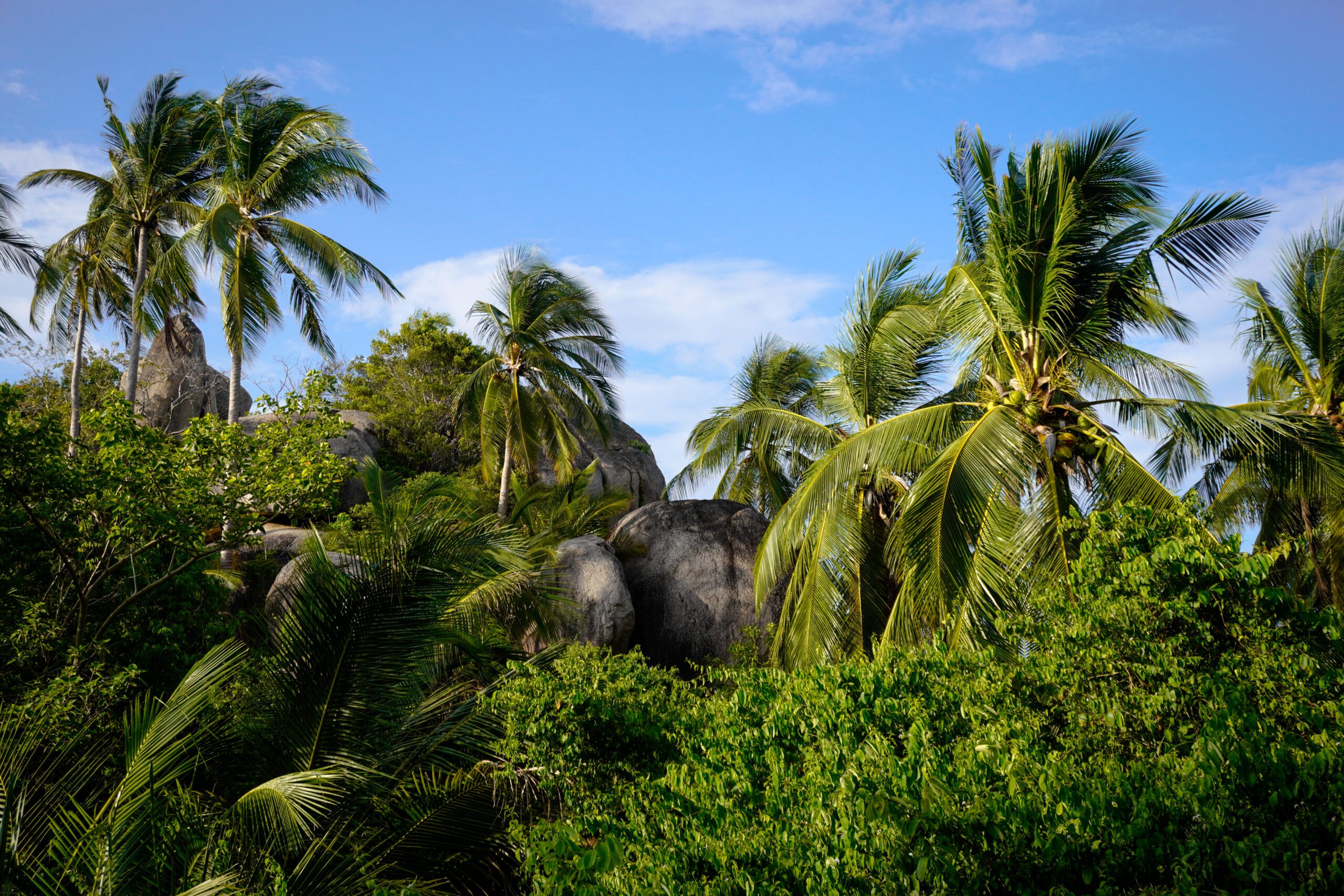 Que faire à Koh Tao en Thaïlande : Mon guide complet