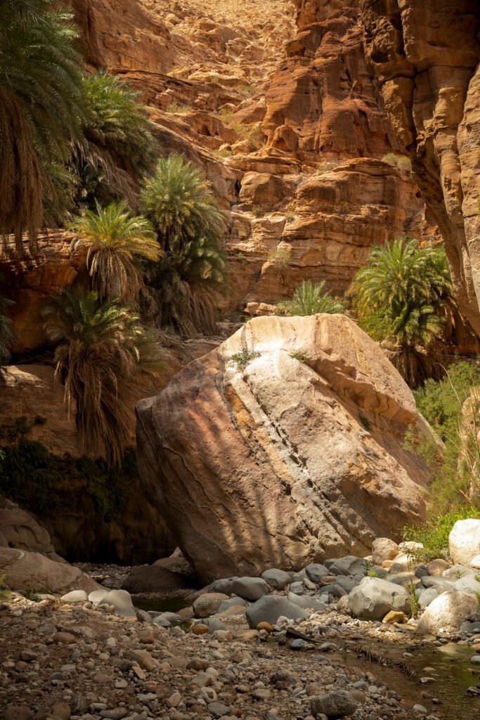Wadi Ghuweir Dana Jordanie