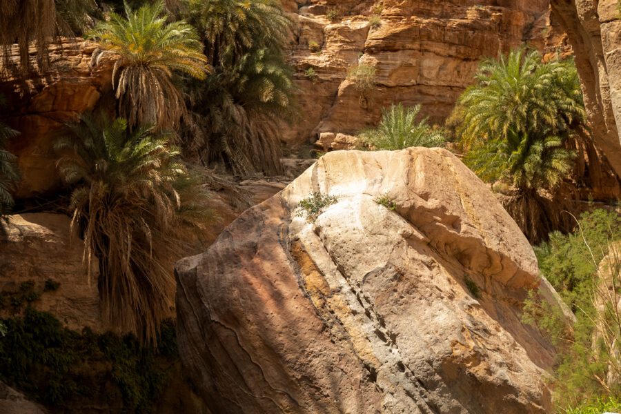 Wadi Ghuweir Dana Jordanie