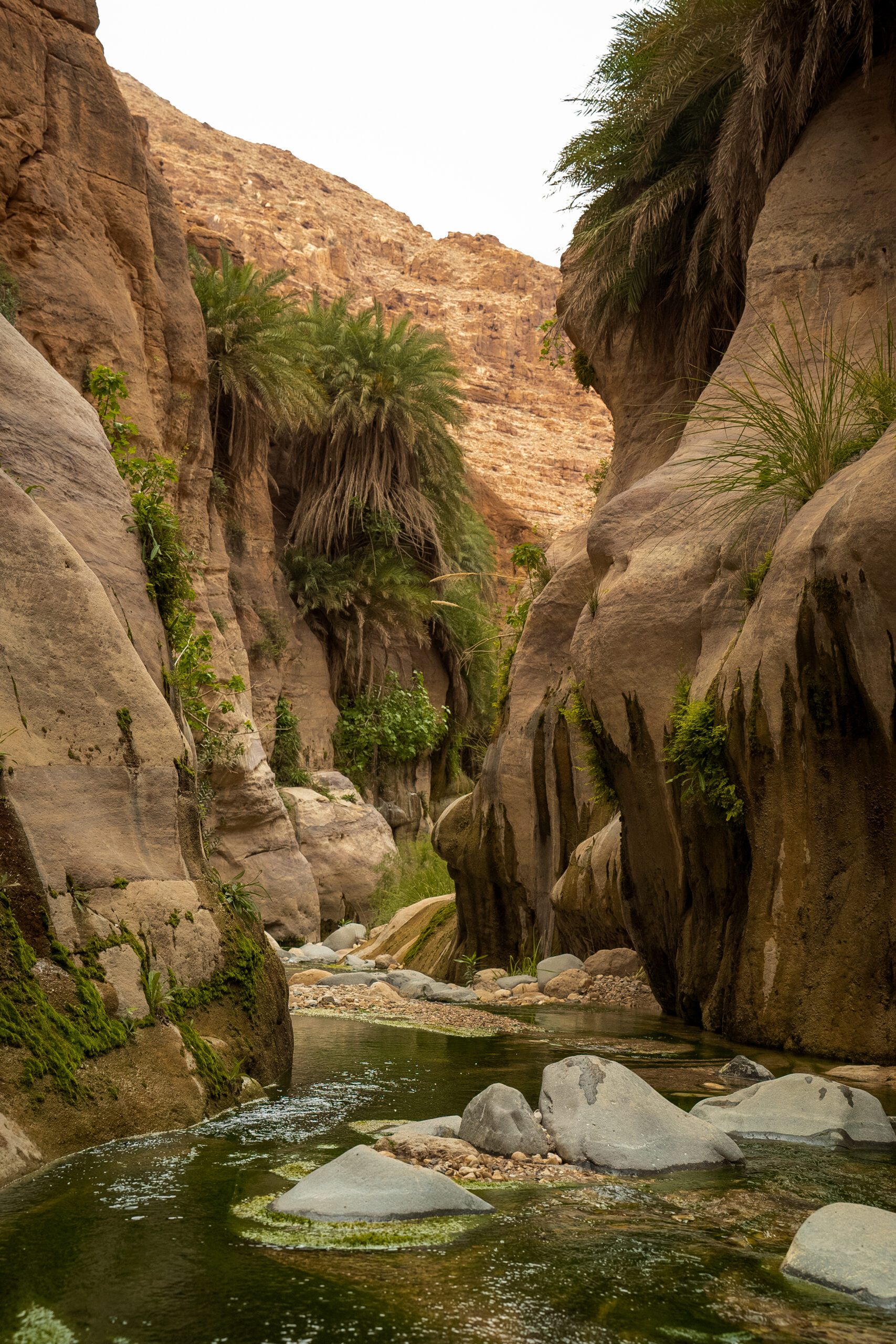 Wadi Ghuweir Dana Jordanie