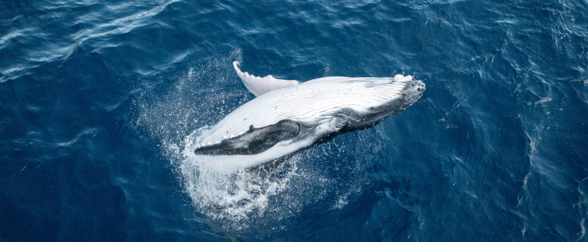 Polynésie Française