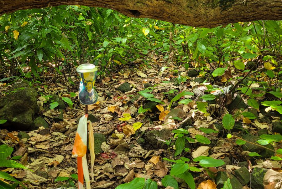 Bora-Bora randonnée Matira Polynésie française