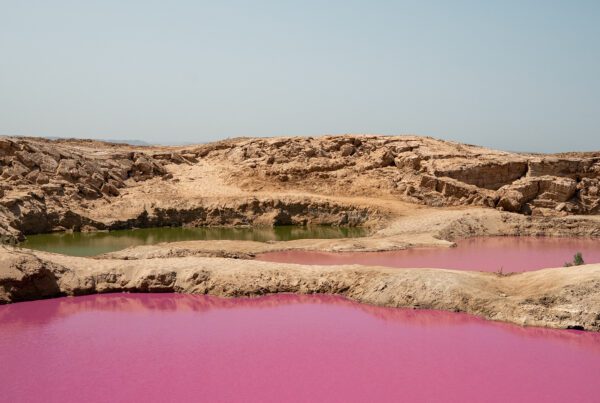 Mer morte lac rose Jordanie