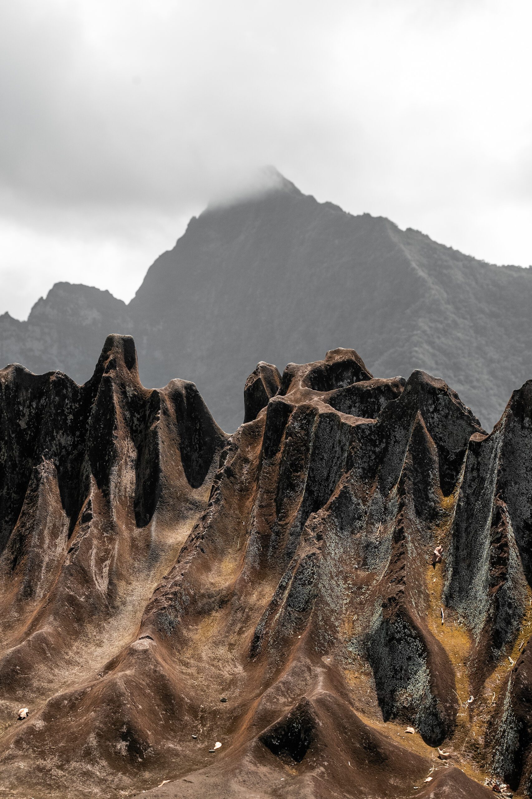 Raiatea Polynésie française