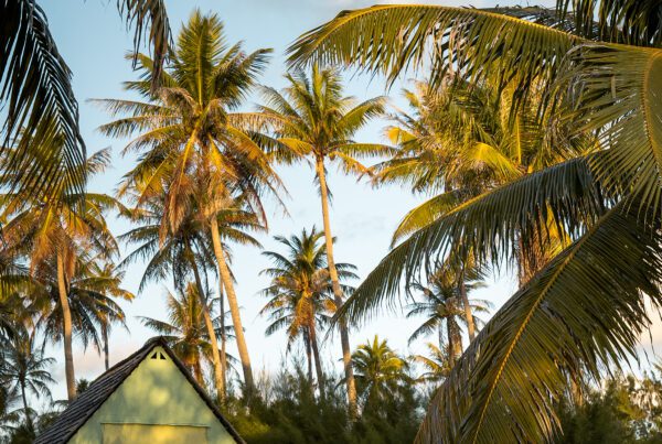 Camping Polynésie française
