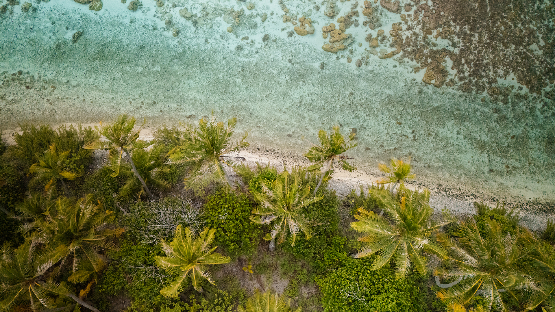 Voyage authentique : Comment vivre un séjour unique ?